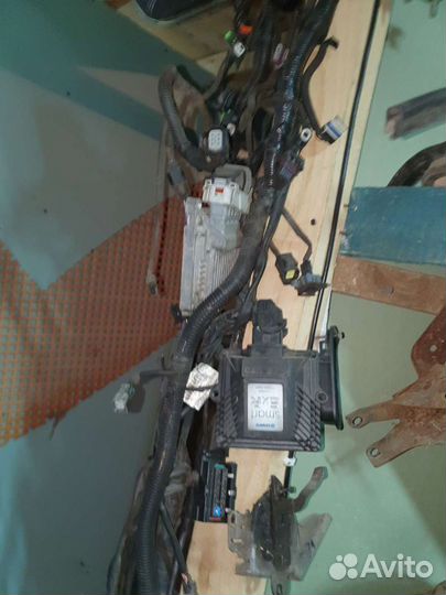 Проводка моторная шевроле круз 2012г 1.6 механика