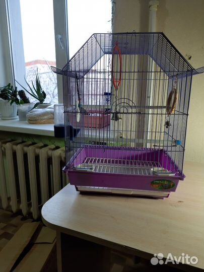 Клетка для волнистого попугая