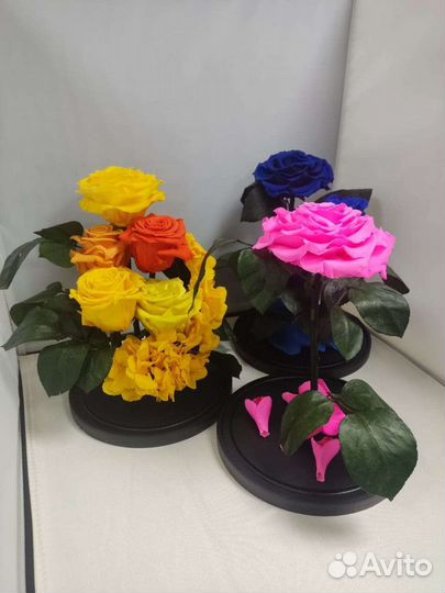 Роза в колбе оптом и в розницу