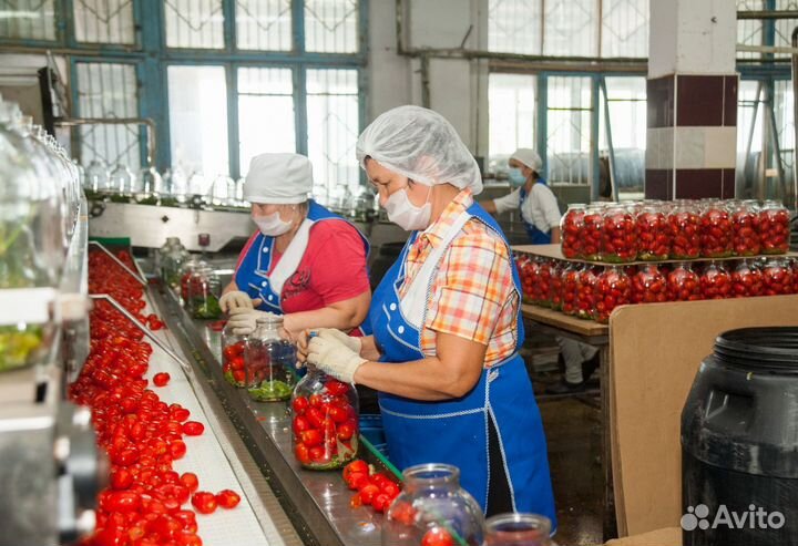 Оператор на линии г. Славянск на Кубани