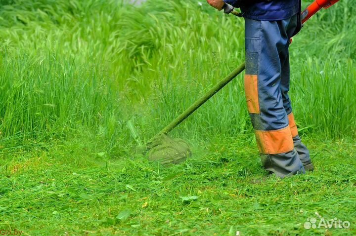Покос травы триммером, вырубка деревьев