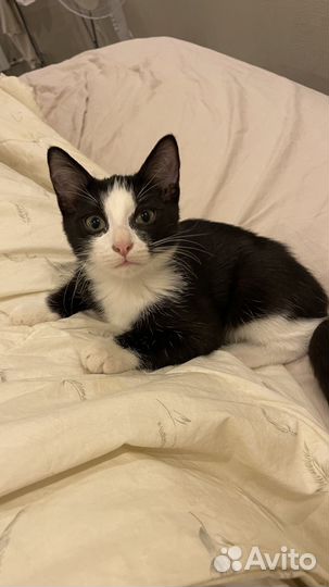 Страшненький мальчик