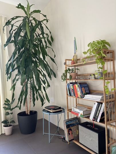 Дом 200 м² на участке 3 сот.