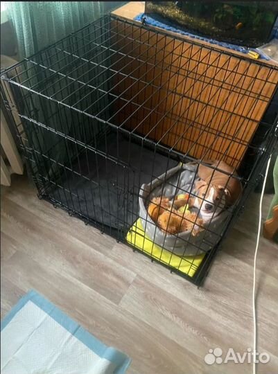 Клетка для собак №5, №3 от производителя (Новые)