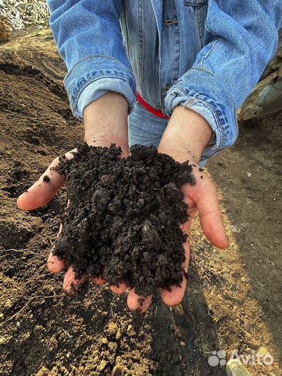 Земля плодородная