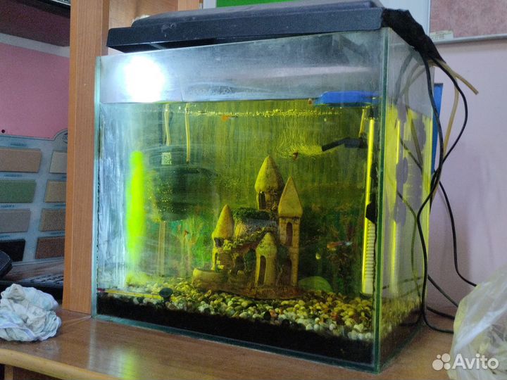 Аквариум