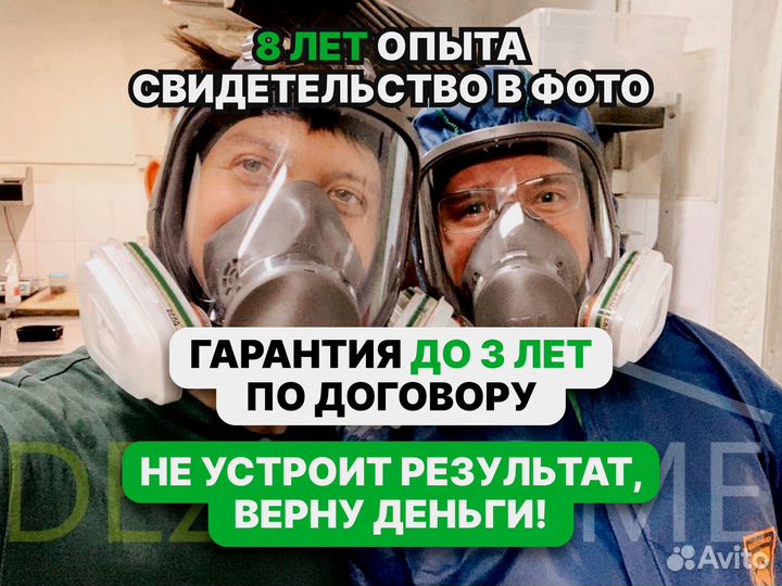 Дезинфекция / Уничтожение тараканов, клопов, мышей