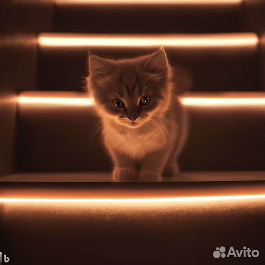 Подсветка лестницы с датчиками движения