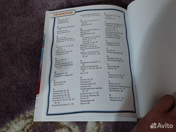 Тело человека. 100 фактов