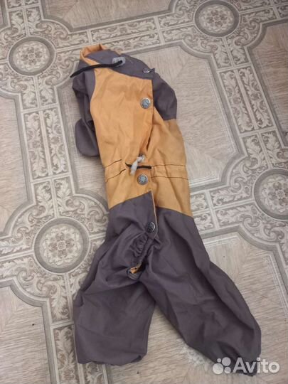 Костюмы на собак