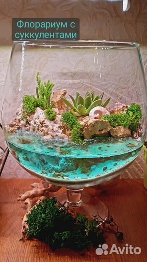 Флорариум с цветами в подарок