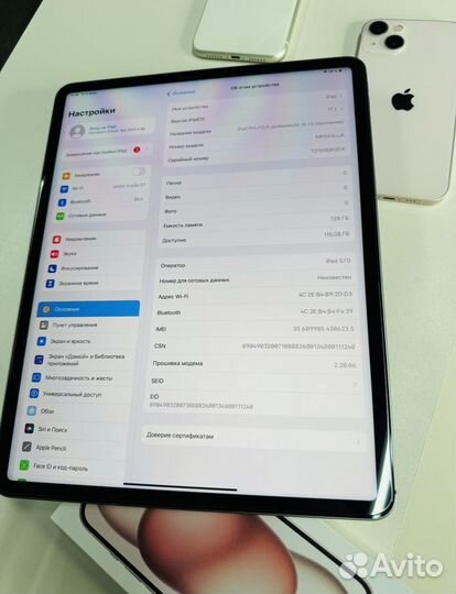 Apple iPad pro 2022 12.9 128gb wifi + sim