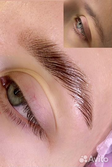 Бровист (окрашивание, д/у, архитектура, коррекция)