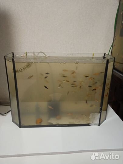 Аквариум 15л
