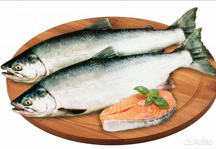 Охота и рыбалка