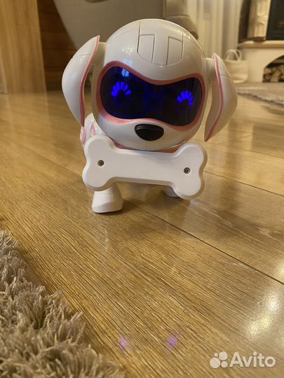 Собака робот