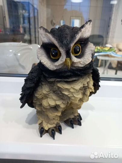 Красавица сова с живыми глазами