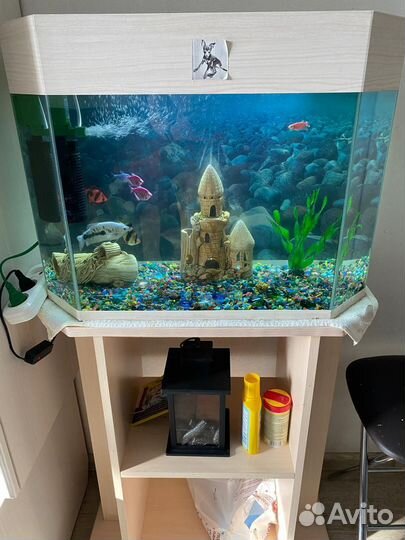 Аквариум с тумбой