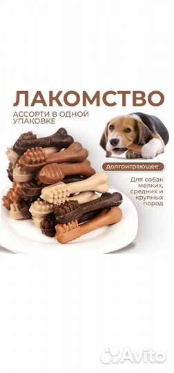Корм для собак