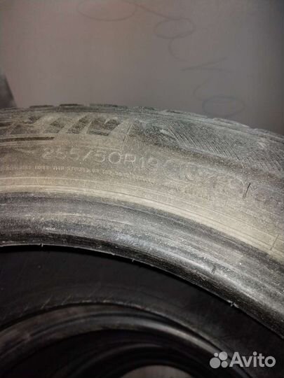 Michelin Latitude Tour HP 255/55 R19 107H