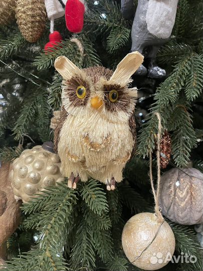 Сова натуральная