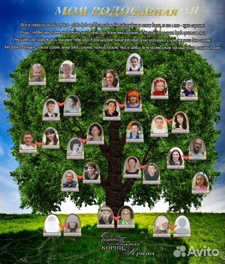 Создание генеалогического древа