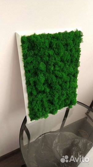 Картина из мха