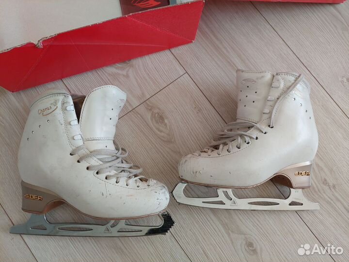 Фигурные коньки Edea chorus 230