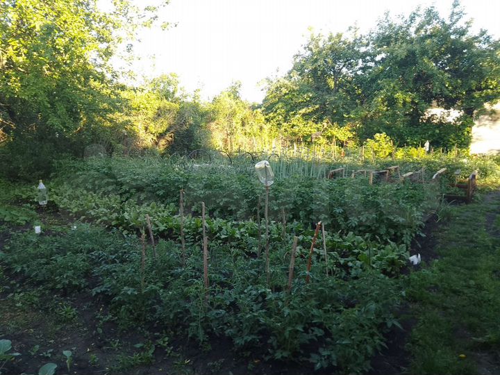 Дача 42 м² на участке 5 сот.