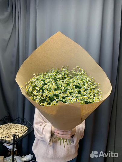 Ромашки, букет, цветы