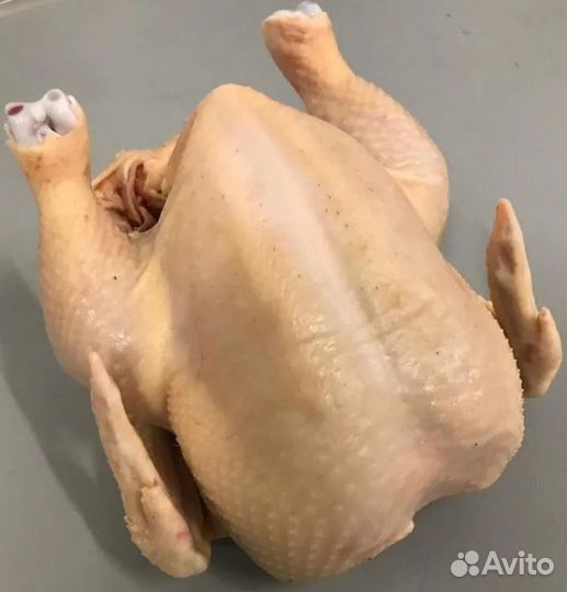 Цыплята бройлеры, курятина, курица домашняя