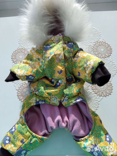 Одежда для маленьких собак