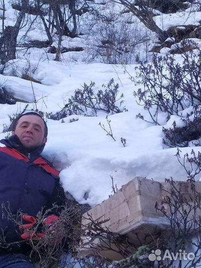 Сагаан дали (белое крыло)