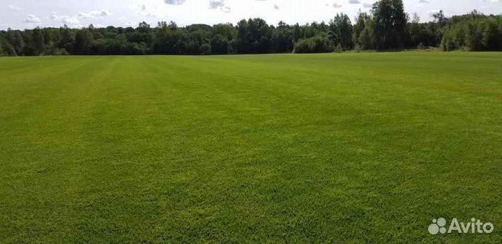 Укладка и продажа рулонного газона