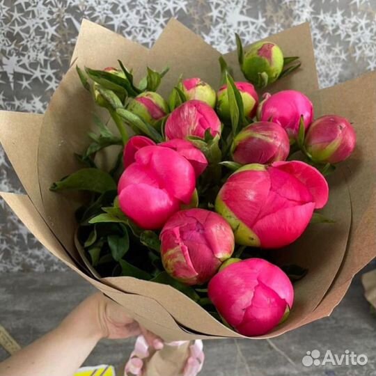 Цветы Букеты Пионы 11 15 21 25 31 35 51