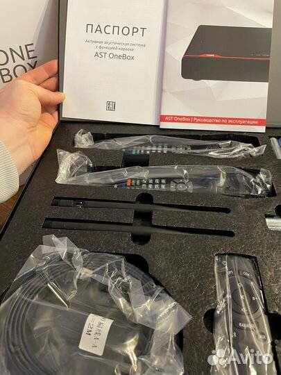 Ast onebox - караоке с колонками и микрофонами