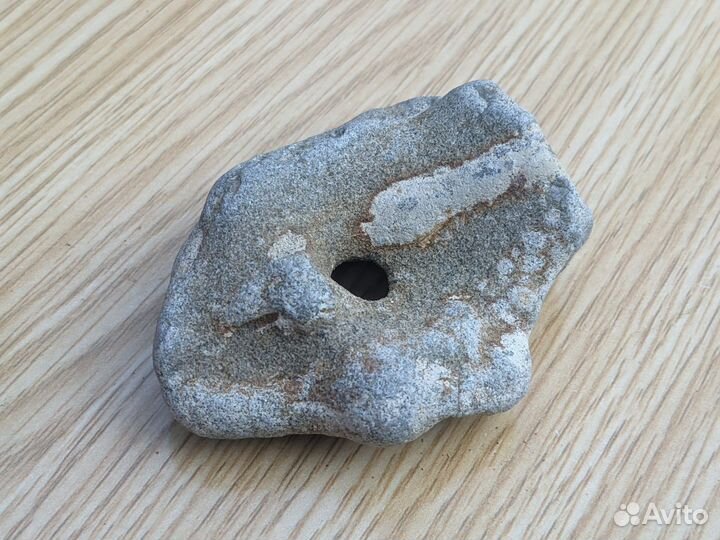 Древняя окаменелость - куриный бог