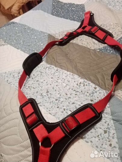 Шлейка для собаки