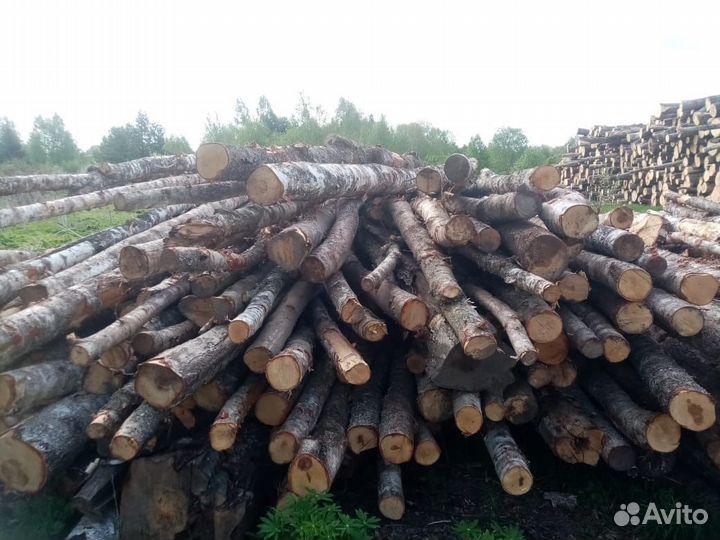 Баланс на дрова береза