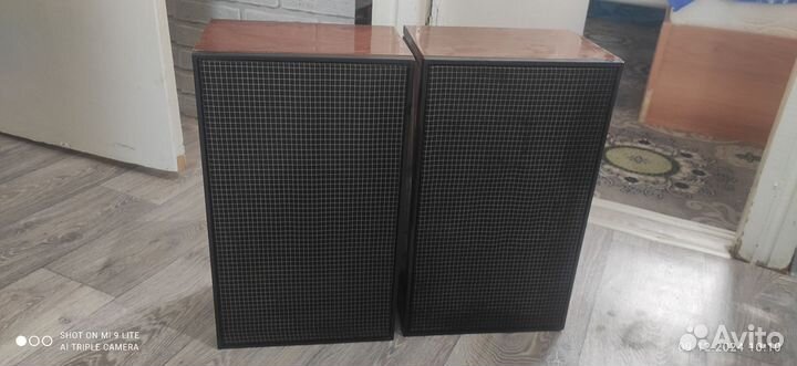 Аудиосистема СССР 1985 г