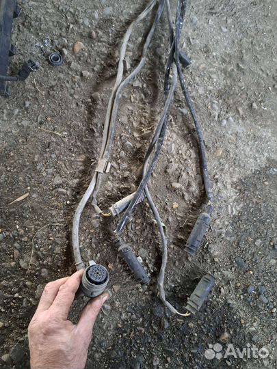 Проводка двигателя на BMW E53 m54