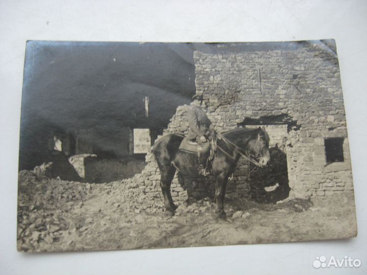 Антикварная фотография лошадь конь 1914 1944