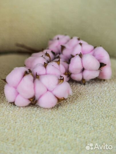 Хлопок 10 веток