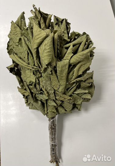 Дубовые веники для бани