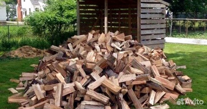 Дрова свежие