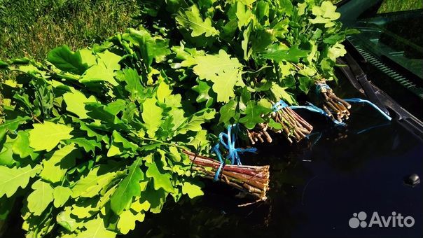 Веники дубовые, берёзовые