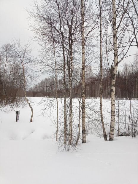 Участок 3 га (СНТ, ДНП)