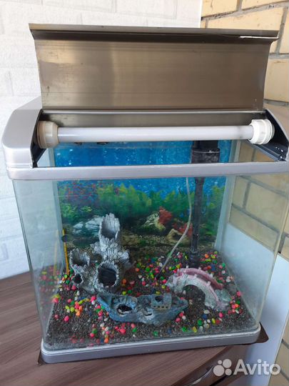 Аквариум