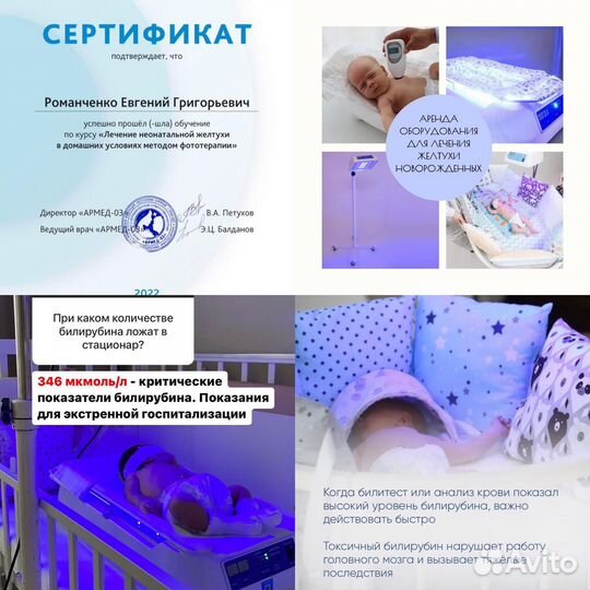 Сопровождение желтухи Специалистом+Аренда+Билитест