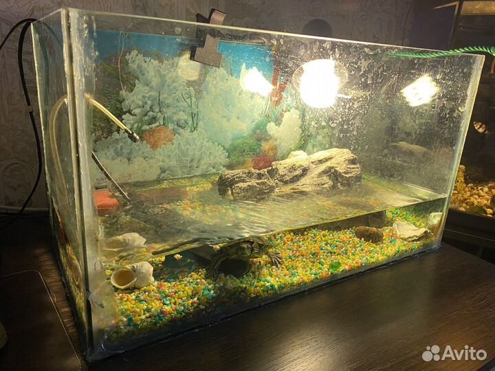 Террариум для красноухой черепахи